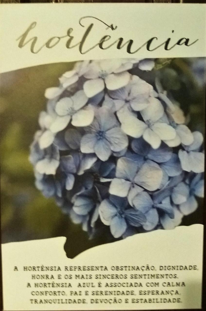 Recanto Das Flores Otel Praia de Pipa Dış mekan fotoğraf